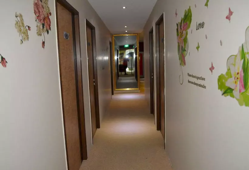 Mercury Backpackers Hostel