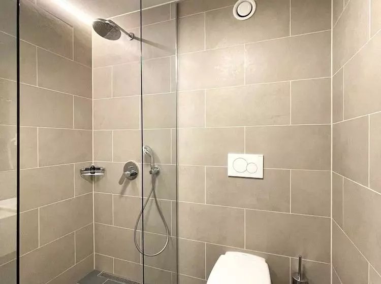 Hotelli Lms   La Maison Suisse   Döttingen