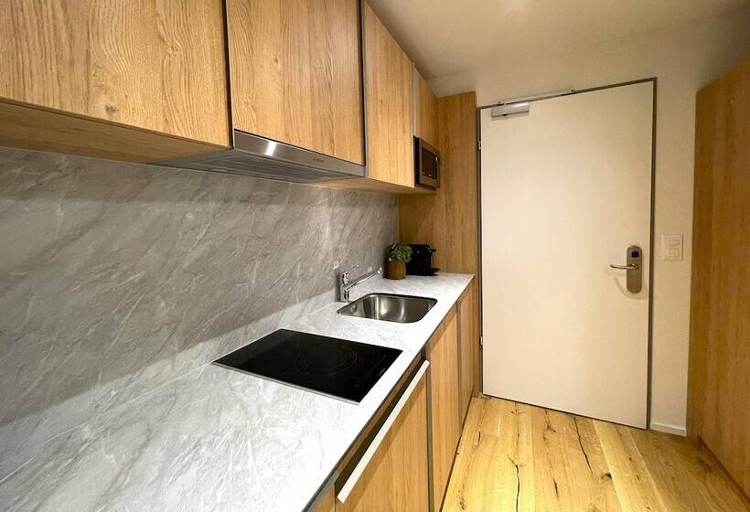 בית מלון כפרי Lms   La Maison Suisse   Döttingen