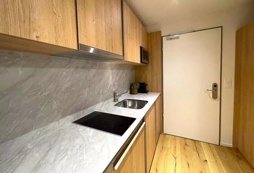 Hotelli Lms   La Maison Suisse   Döttingen