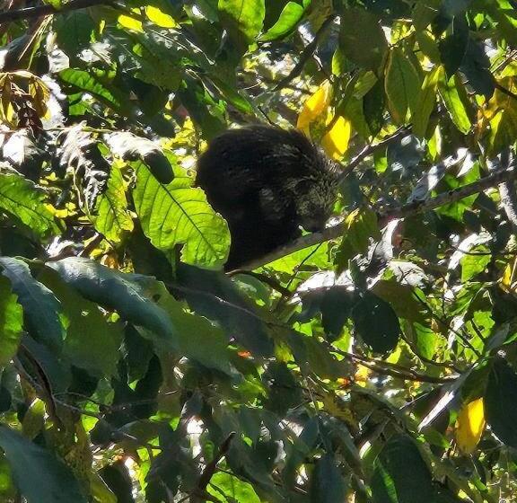 هتل Posada San Lázaro