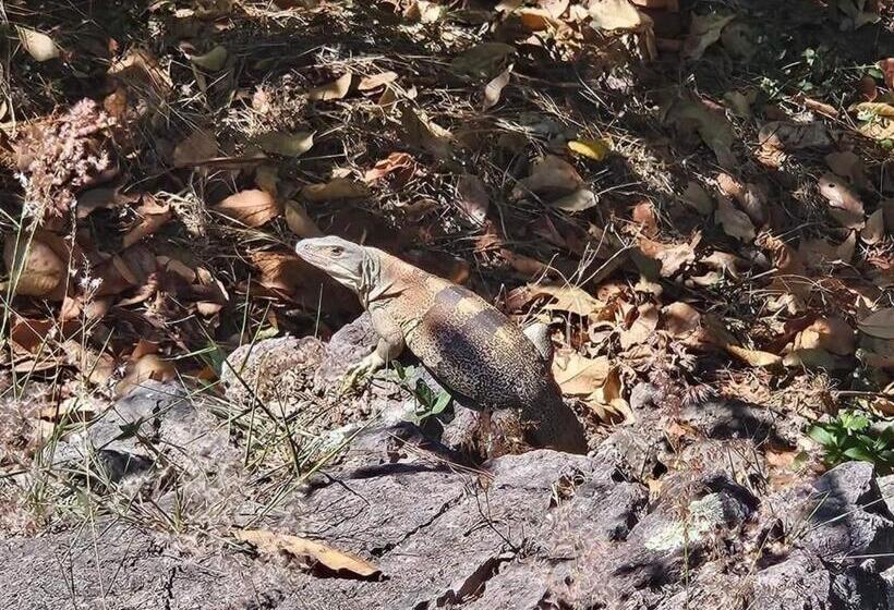 هتل Posada San Lázaro