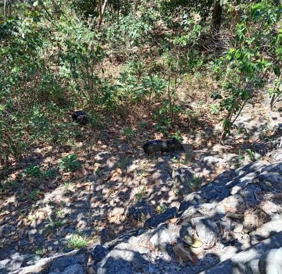 هتل Posada San Lázaro