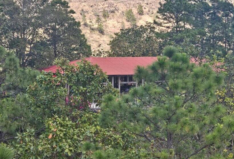 هتل Posada San Lázaro