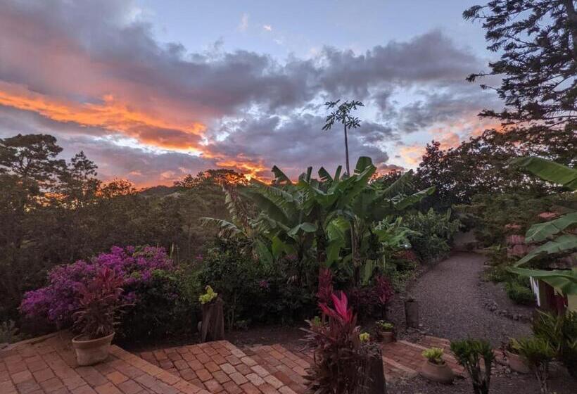 هتل Posada San Lázaro