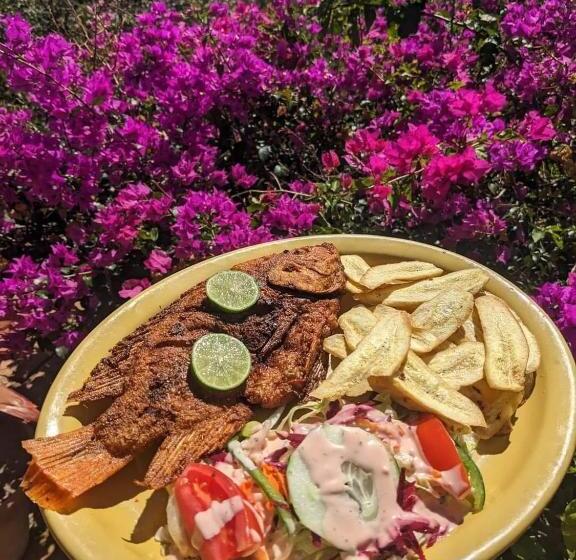 هتل Posada San Lázaro