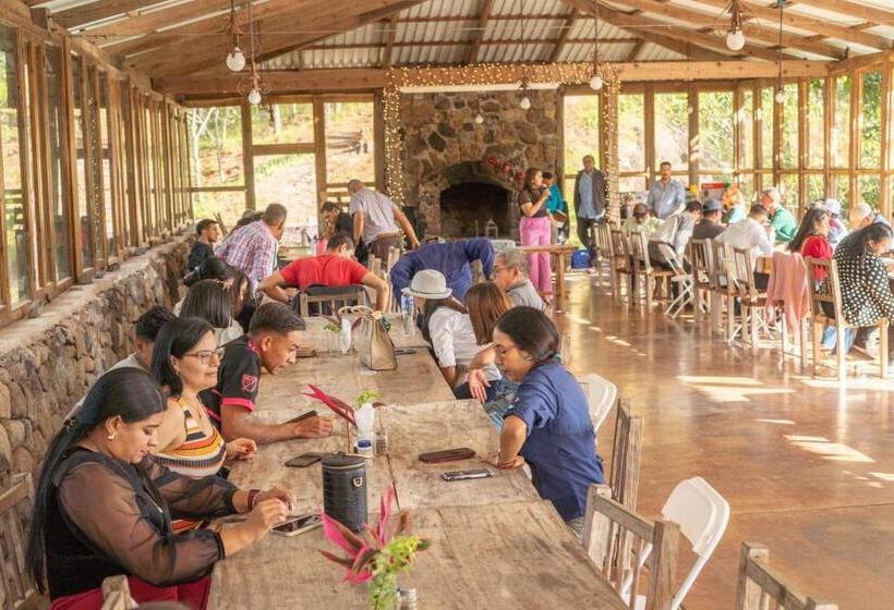 هتل Posada San Lázaro