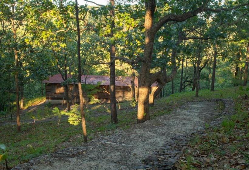 هتل Posada San Lázaro