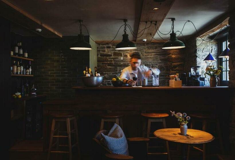 בית מלון כפרי Albion Aberteifi