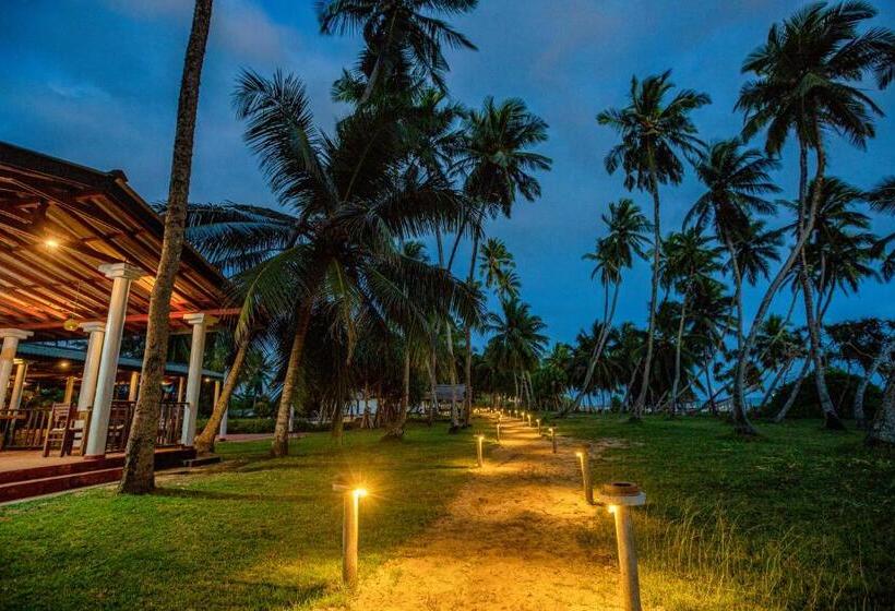 Отель Helios Beach Resort