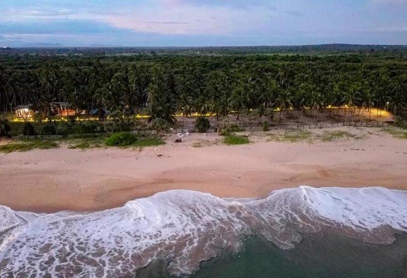 Отель Helios Beach Resort