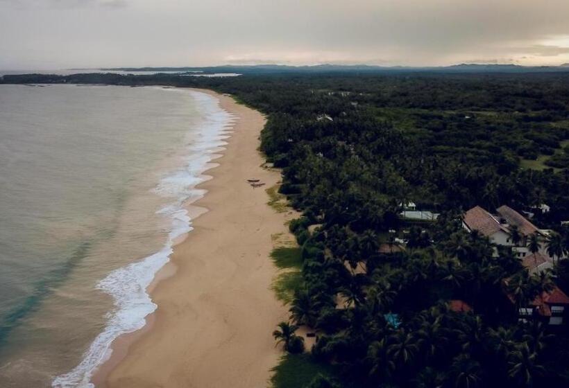 Отель Helios Beach Resort