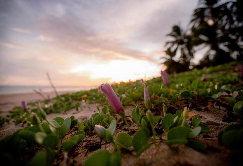 Отель Helios Beach Resort