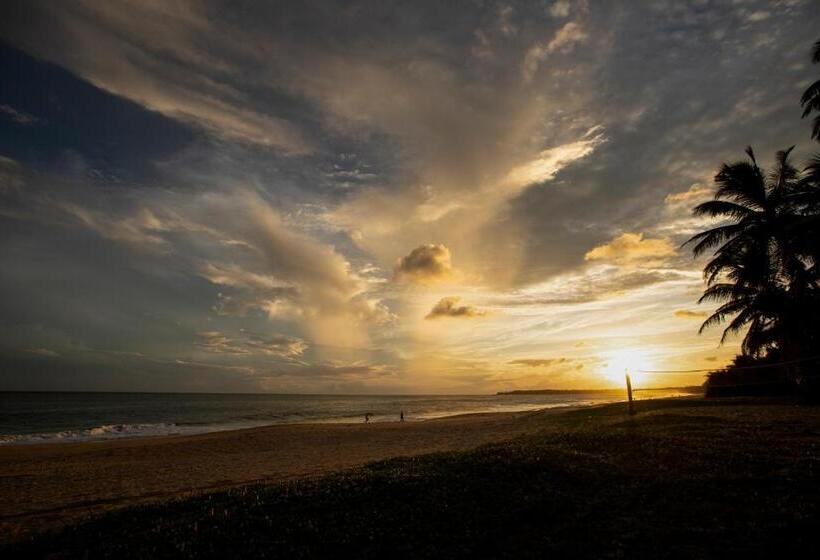 Отель Helios Beach Resort