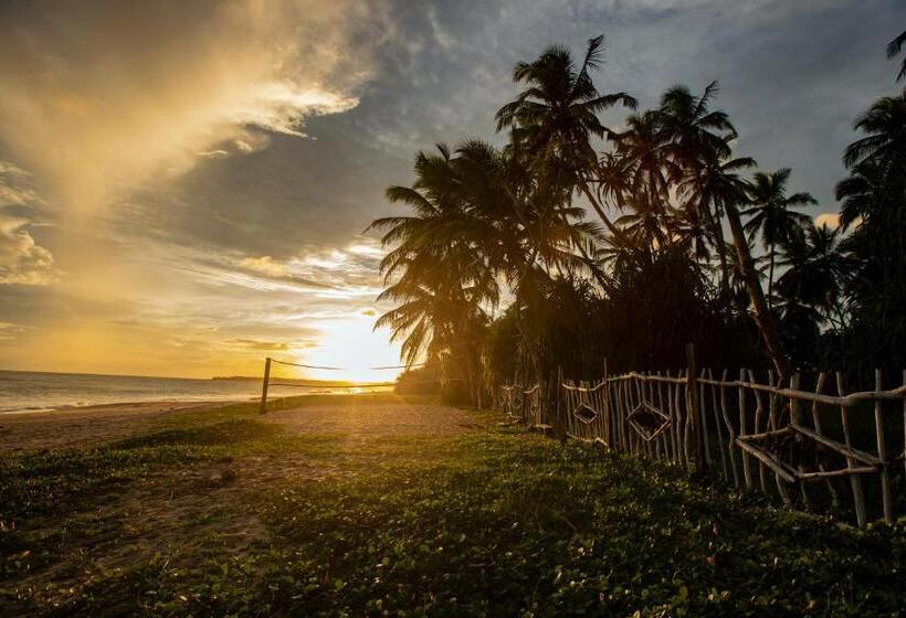 Отель Helios Beach Resort