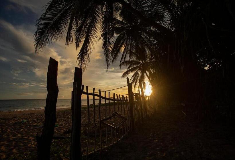 Отель Helios Beach Resort