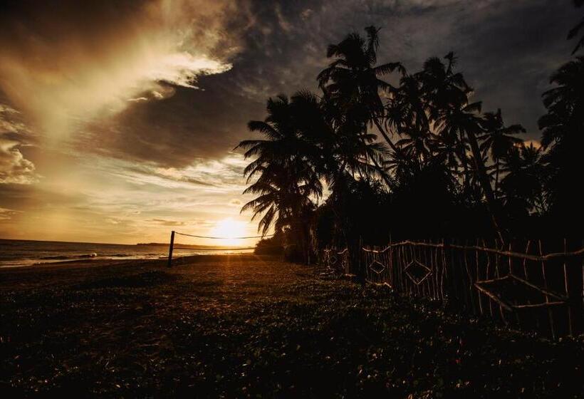 Отель Helios Beach Resort