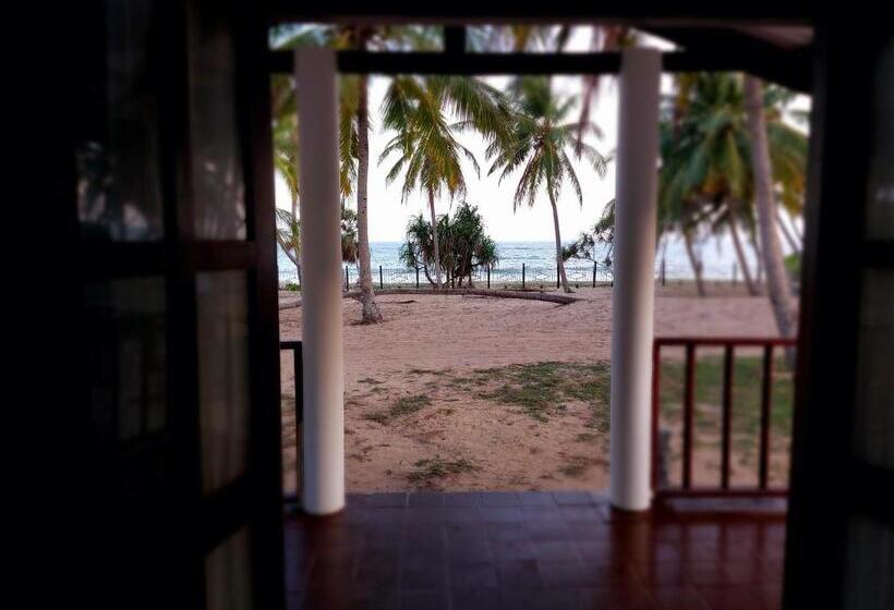 Отель Helios Beach Resort