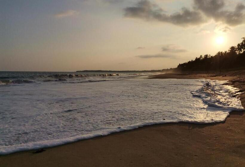 Отель Helios Beach Resort