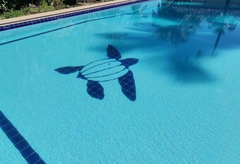 Отель Helios Beach Resort