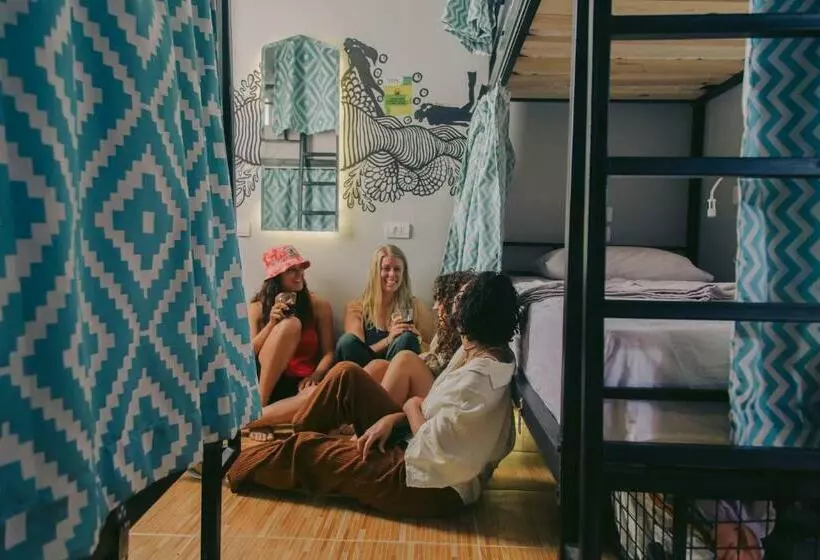 Rafiki Hostels   Dahab