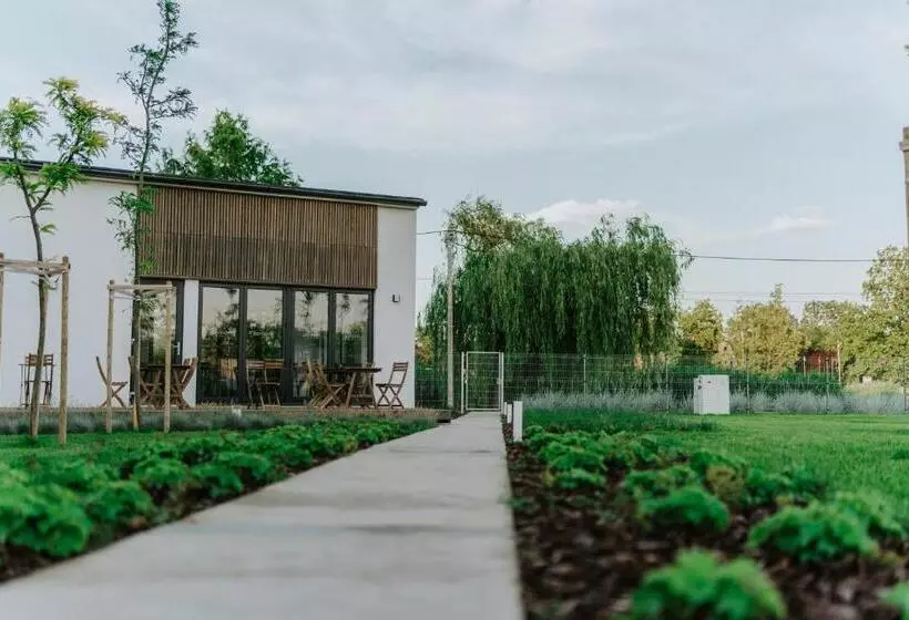 Aamiaismajoitus (B&B) Gyopár Lodge   Gyopárosfürdő