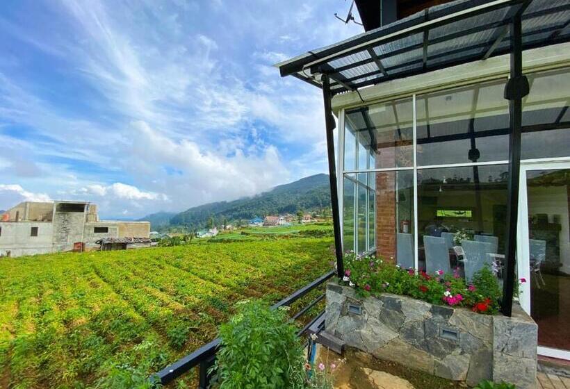 ホテル Friendly Hills