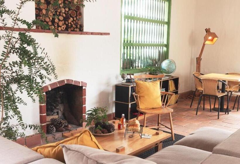 בית מלון כפרי La Liebre Bed And Breakfast