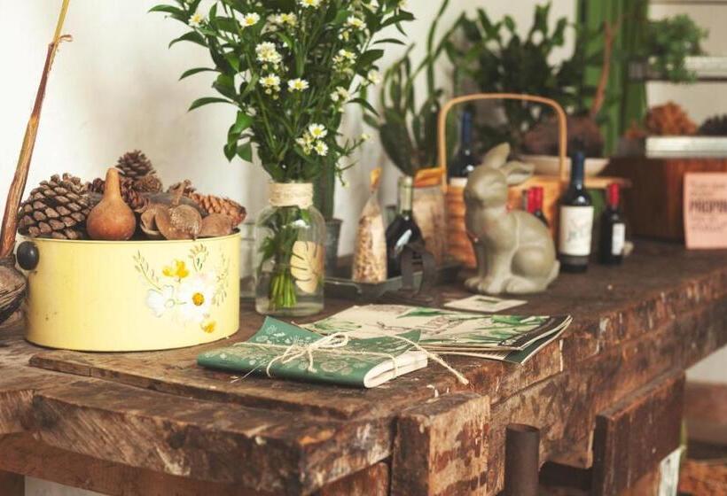 בית מלון כפרי La Liebre Bed And Breakfast