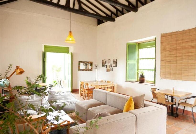 בית מלון כפרי La Liebre Bed And Breakfast