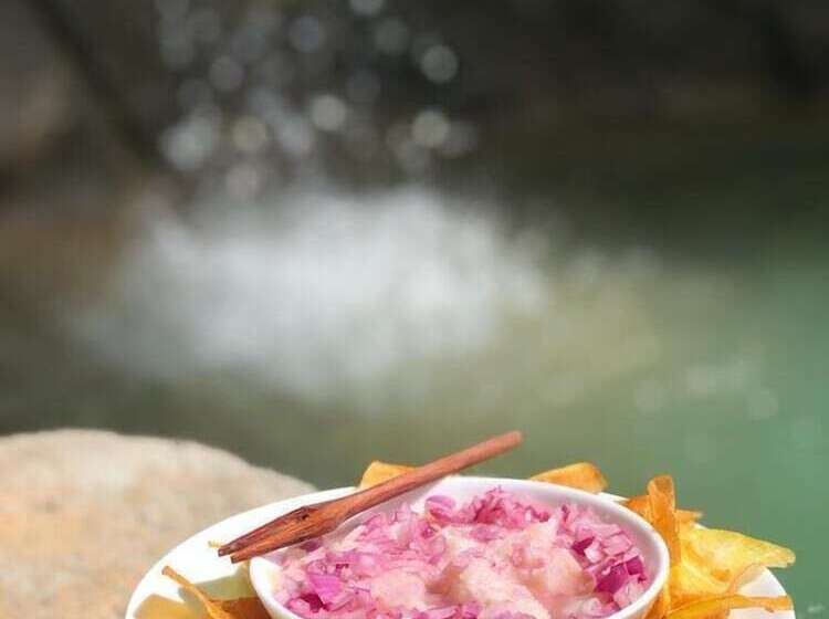 پانسیون La Coquille