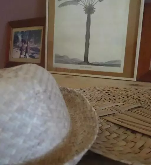 تختخواب و صبحانه Les îles Vagabondes