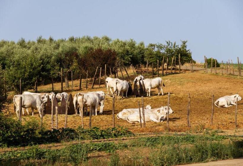 Отель Agriturismo Capracotta Sole