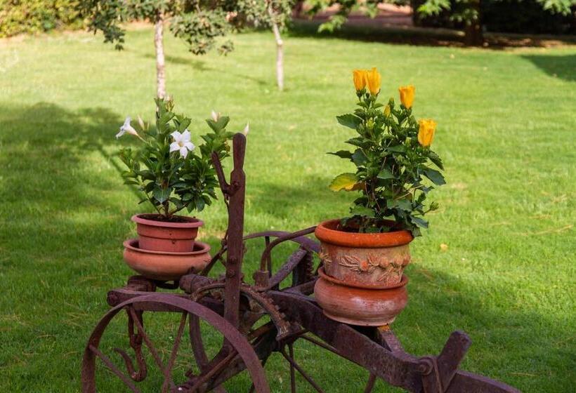 Отель Agriturismo Capracotta Sole