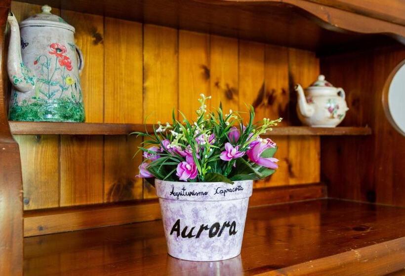 Отель Agriturismo Capracotta Sole