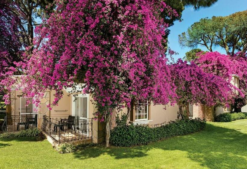 هتل Medworld Health & Rehabilitation Center Pine Beach Belek