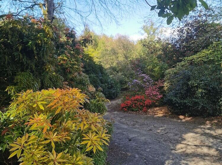 Пансион Le Domaine Du Château De Launay Guen