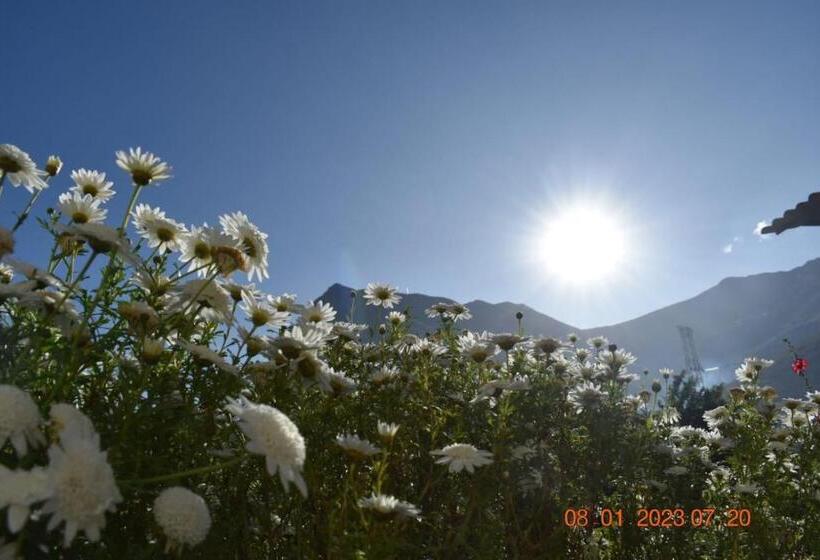 هاستل La Finca Tarma