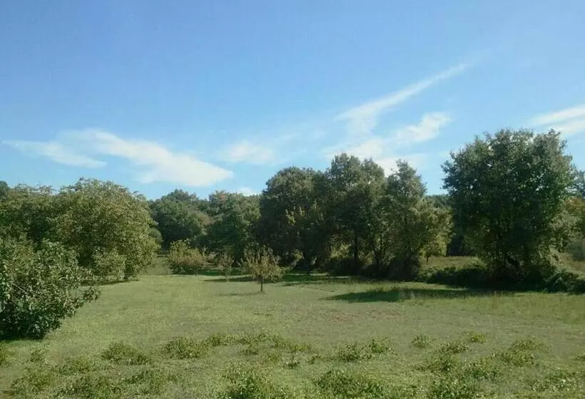 Aamiaismajoitus (B&B) Acquasale