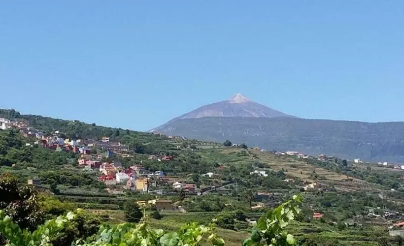 Hostel Orotava