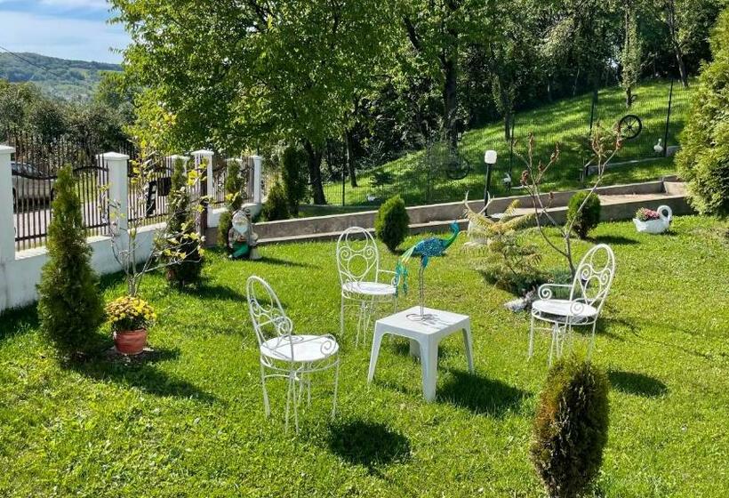 膳宿费 Casa Paunescu