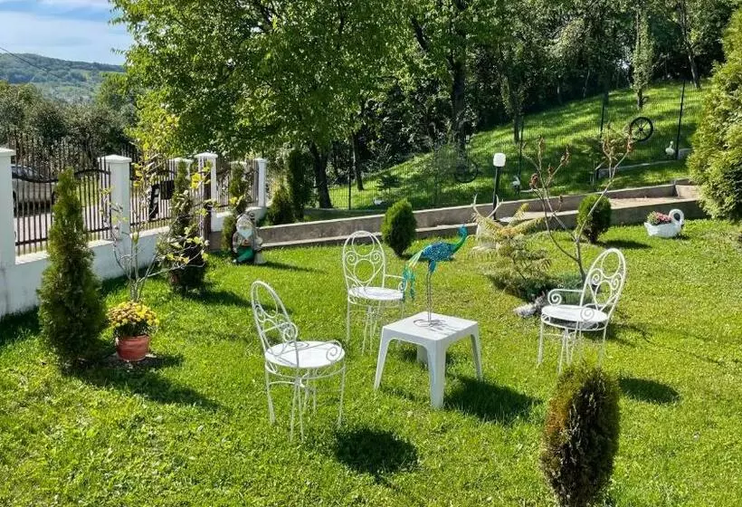 ペンション Casa Paunescu