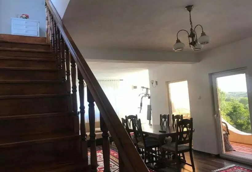 ペンション Casa Paunescu