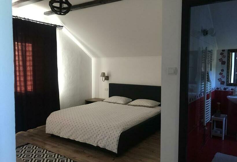 膳宿费 Casa Paunescu