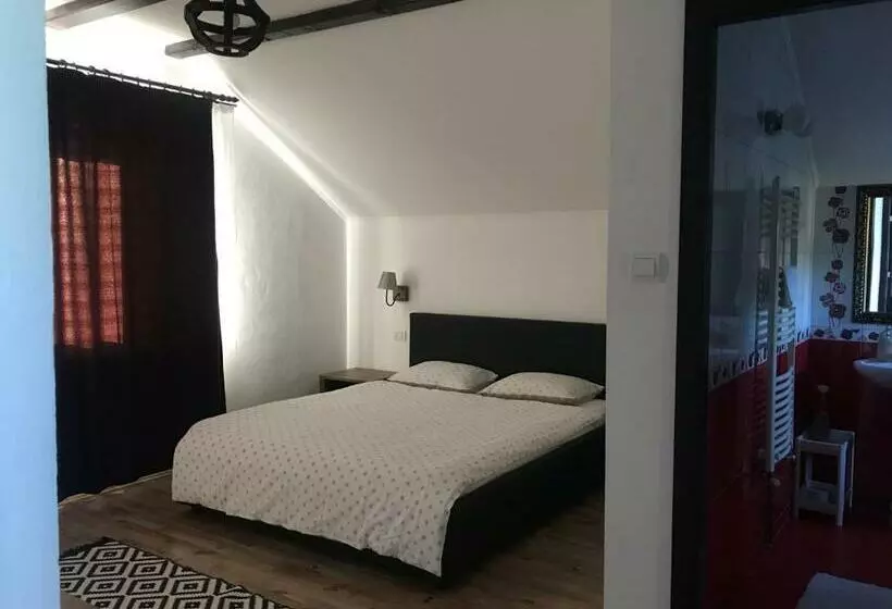 ペンション Casa Paunescu