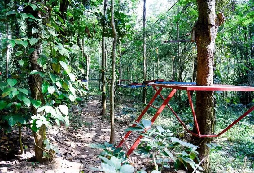The Spectrum Resort, Chikmagalur