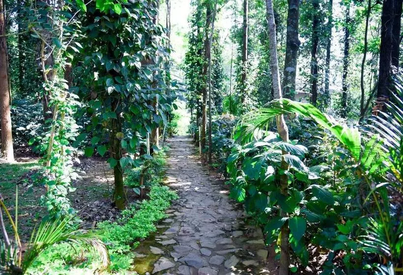 The Spectrum Resort, Chikmagalur
