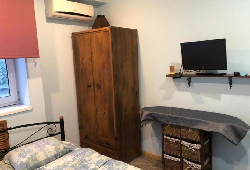 андреевская мансарда»у амура»