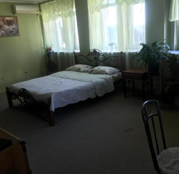 андреевская мансарда»у амура»