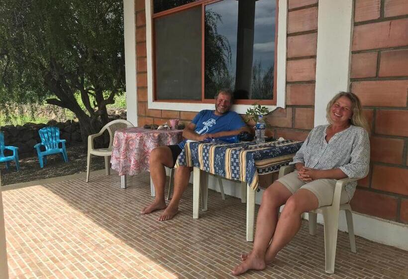 Herberge Black Beach House